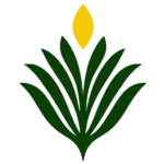 cropped-lwp-cultivated-plant-flame-small-512-1.webp Living With Purpose logo: a green, fan-shaped plant symbol topped by a small gold flame representing insight guiding growth.