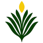 Living With Purpose logo: a green, fan-shaped plant symbol topped by a small gold flame representing insight guiding growth.